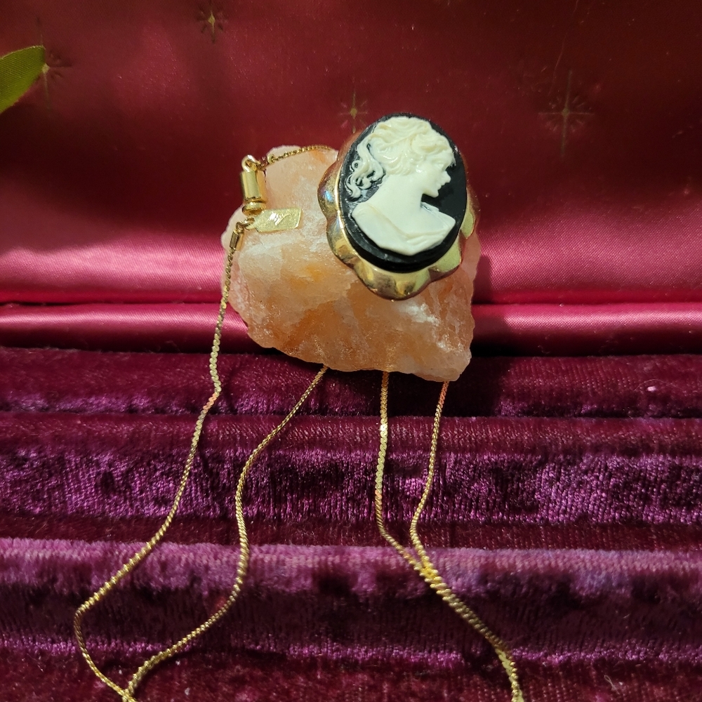Vintage Collection of Cameo Silhouette - Picture 7 of 9